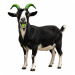 GOATZO goat mascot